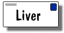 LIVER