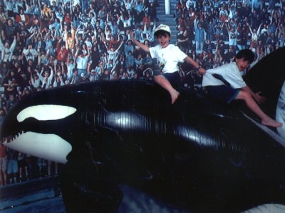 shamu.jpg (28310 bytes)